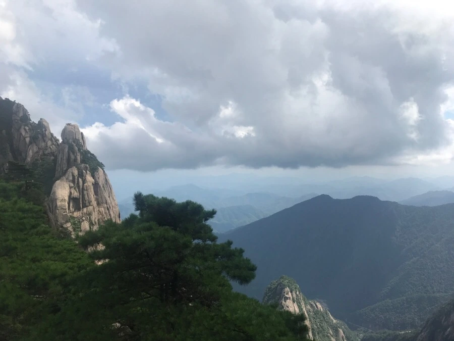 IMG_0910.jpg?type=w966