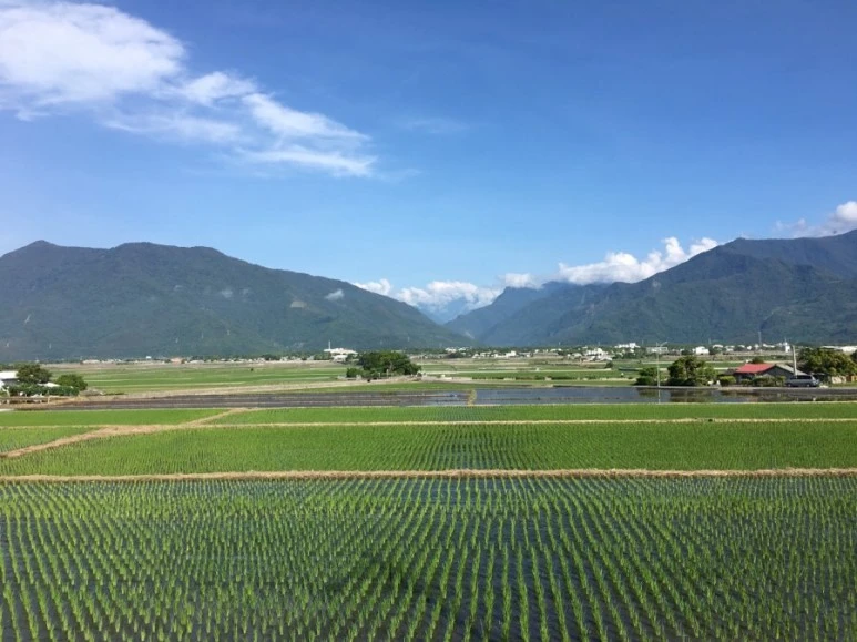 attachImage_3175381701.jpeg?type=w773