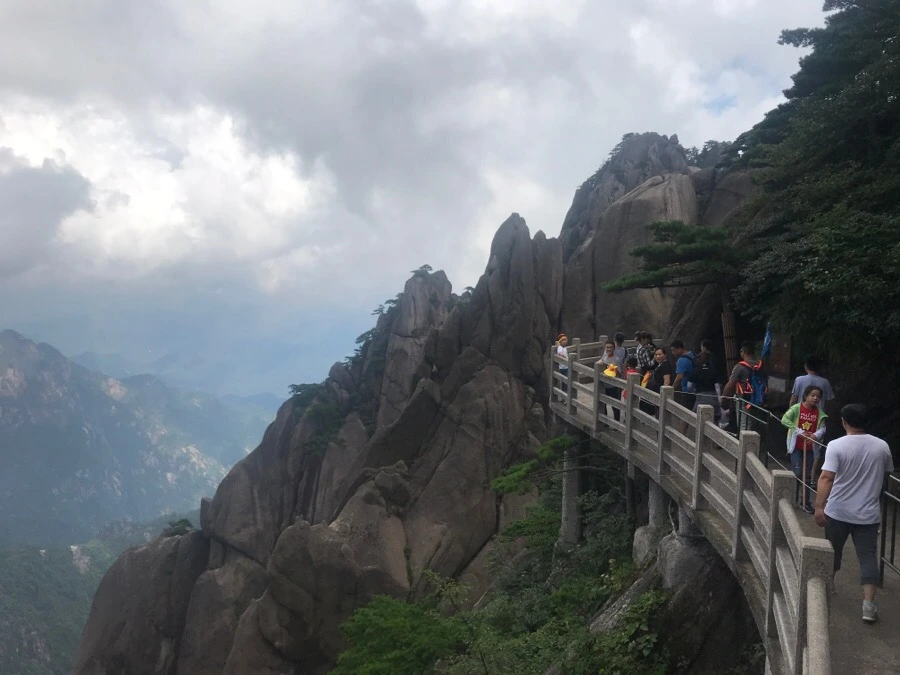 IMG_0894.jpg?type=w966