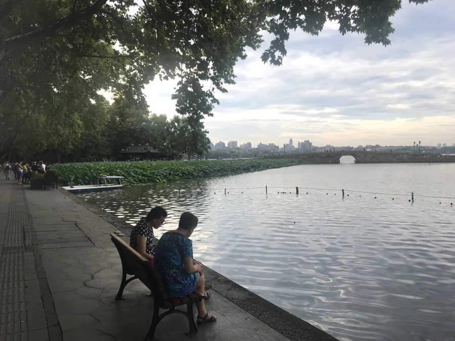 IMG_1070.jpg?type=w966