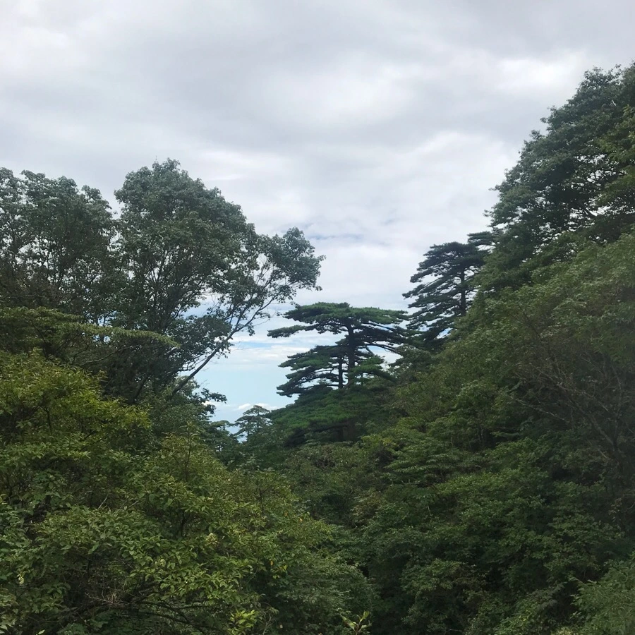 IMG_0730.jpg?type=w966