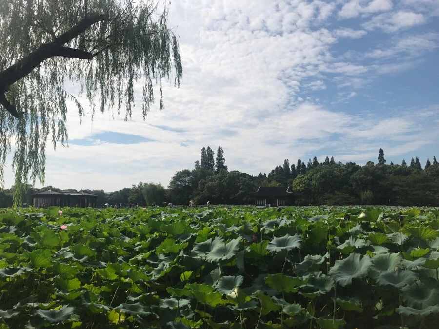 IMG_1129.jpg?type=w966