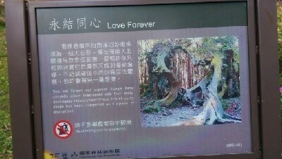 IMAG4920.jpg?type=w773