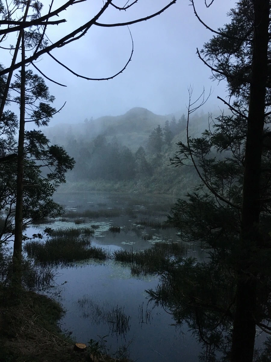 IMG_5402.JPG?type=w966