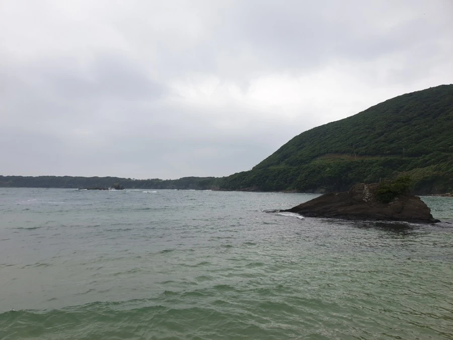 20190608_110325.jpg?type=w1