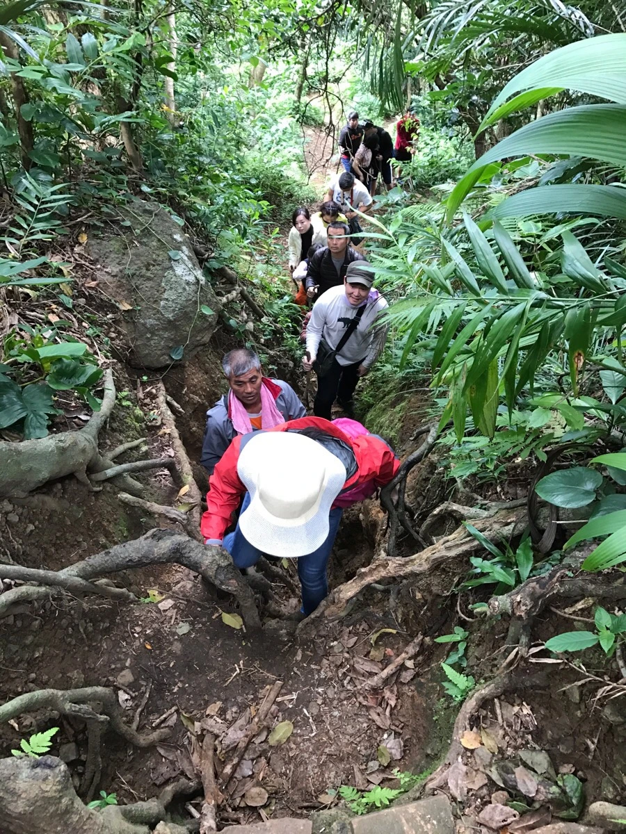 IMG_3639.jpg?type=w966