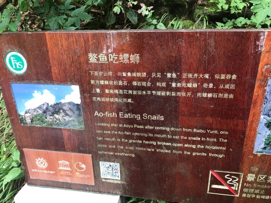 IMG_0847.jpg?type=w966