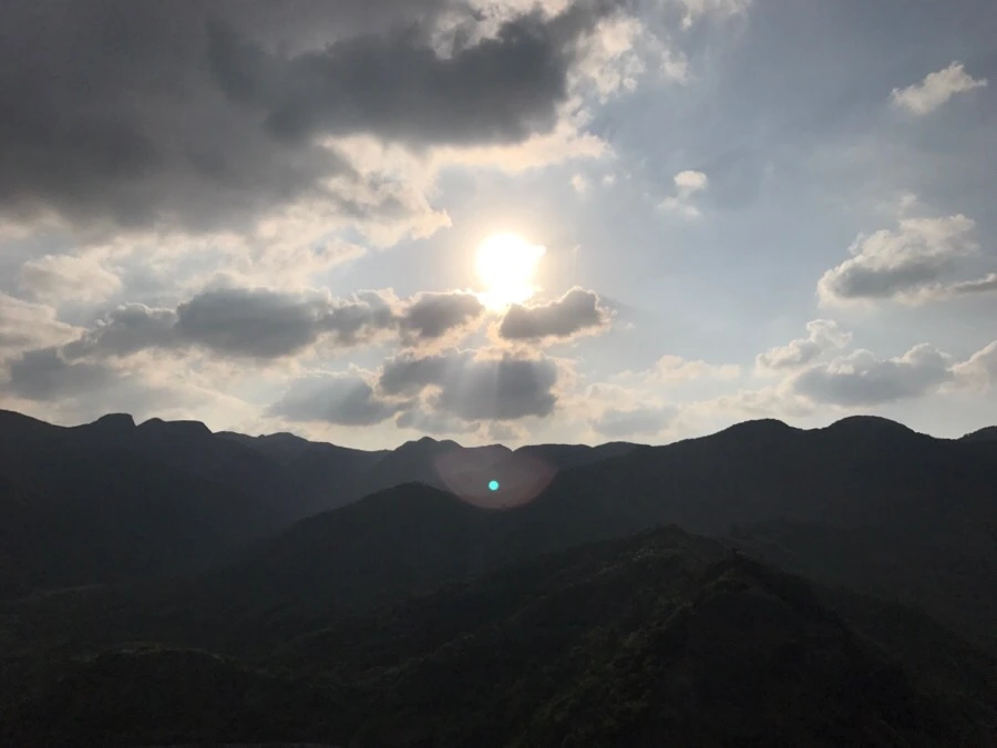 IMG_3790.jpg?type=w966