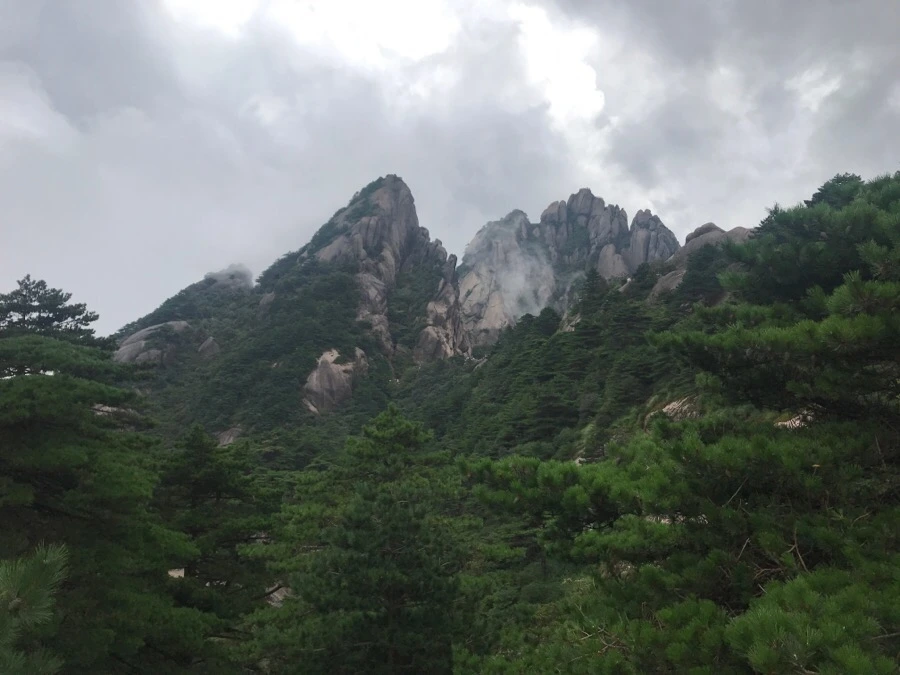 IMG_0786.jpg?type=w966