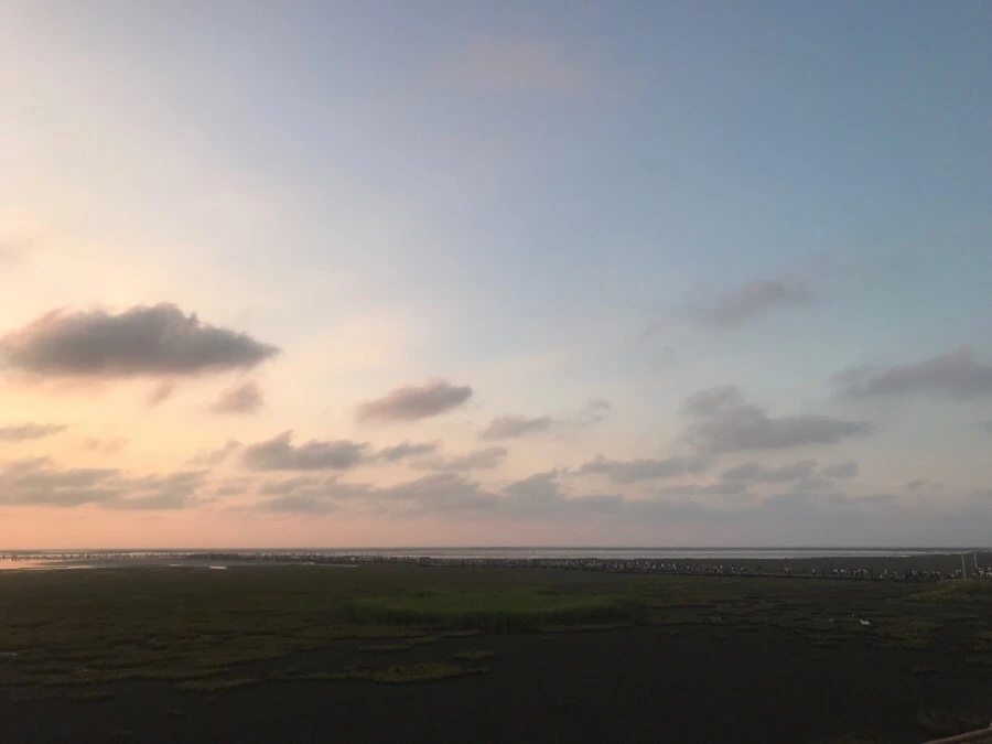 IMG_3311.jpg?type=w966