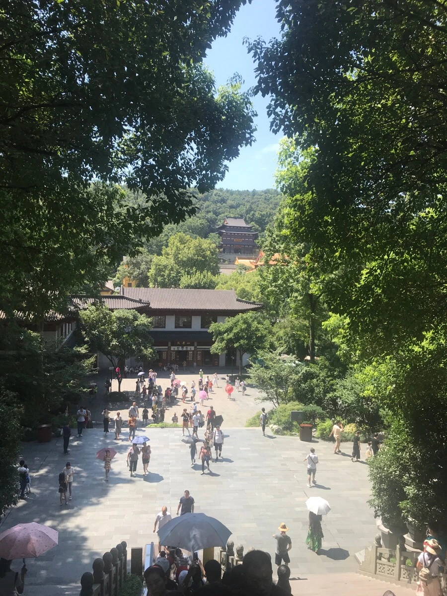 IMG_1218.jpg?type=w966