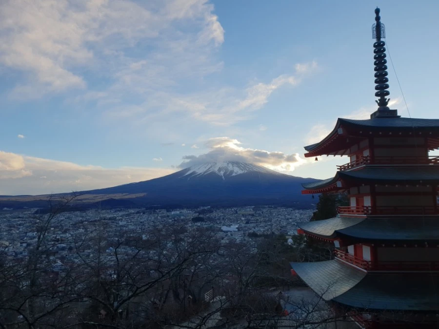 20190126_163525.jpg?type=w1