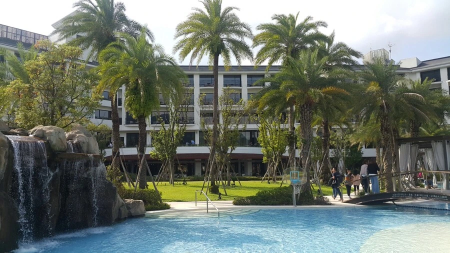 IMG_5372.jpg?type=w966