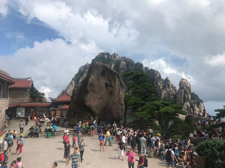 IMG_0914.jpg?type=w966