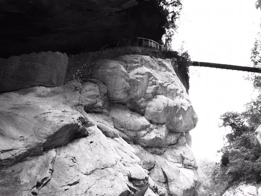 IMG_2237.jpg?type=w966