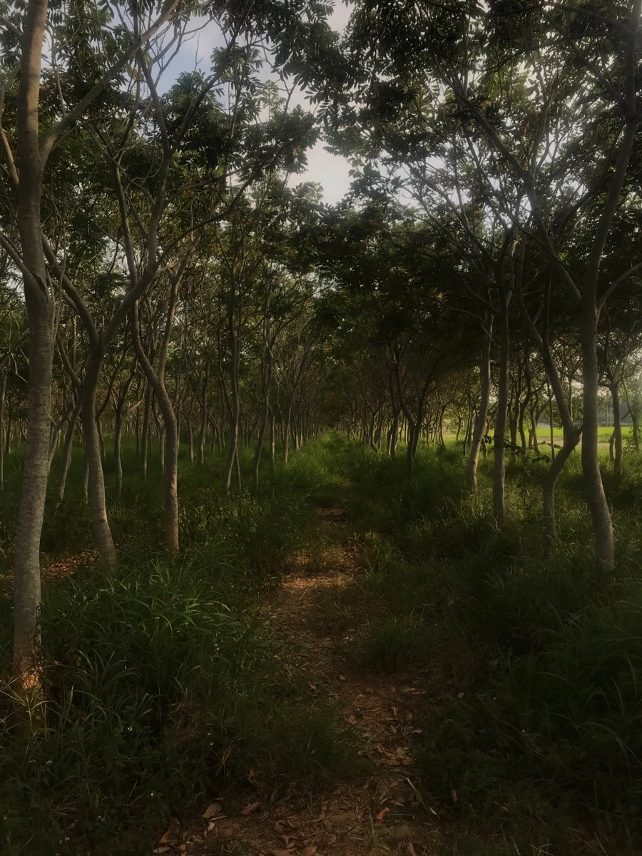 IMG_3275.jpg?type=w966