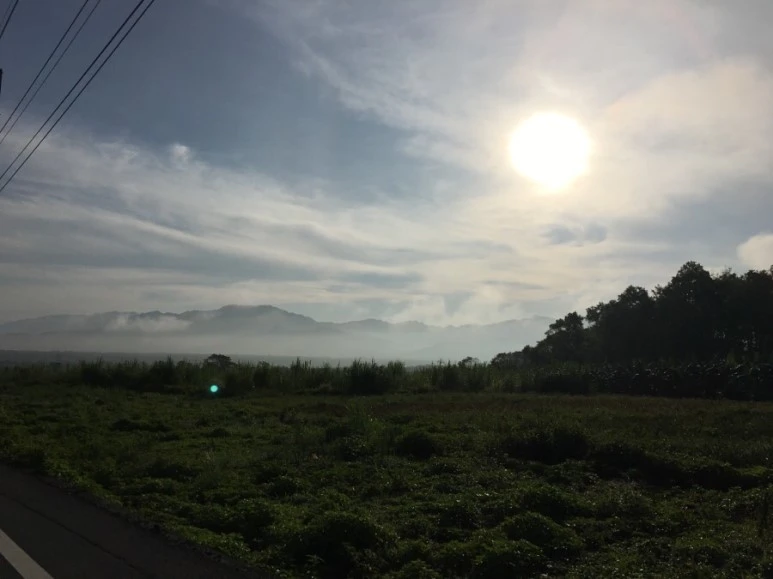 attachImage_2035167778.jpeg?type=w773