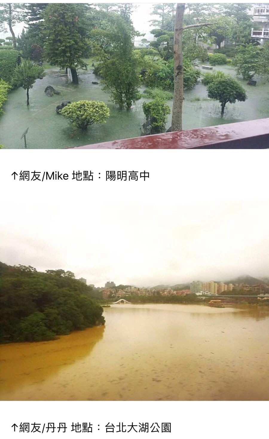 IMG_7387.jpg?type=w966