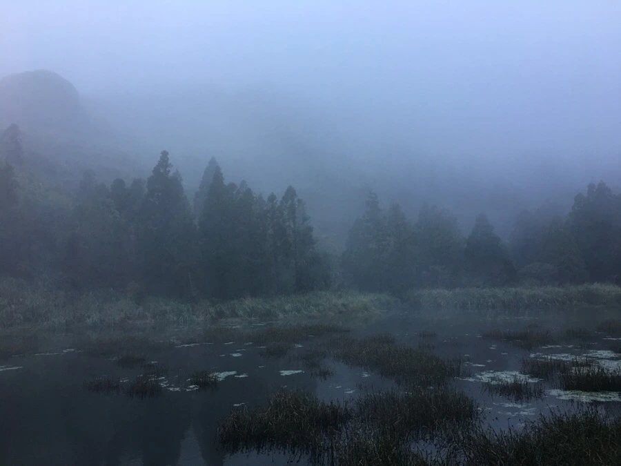 IMG_5405.JPG?type=w966