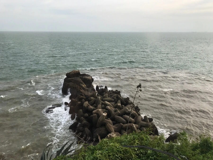 IMG_8221.jpg?type=w966