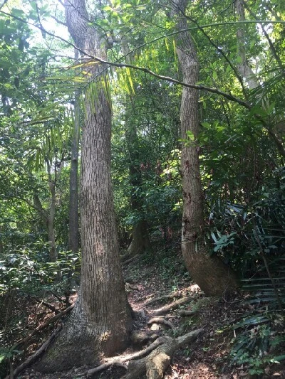 1467444379825.jpg?type=w773