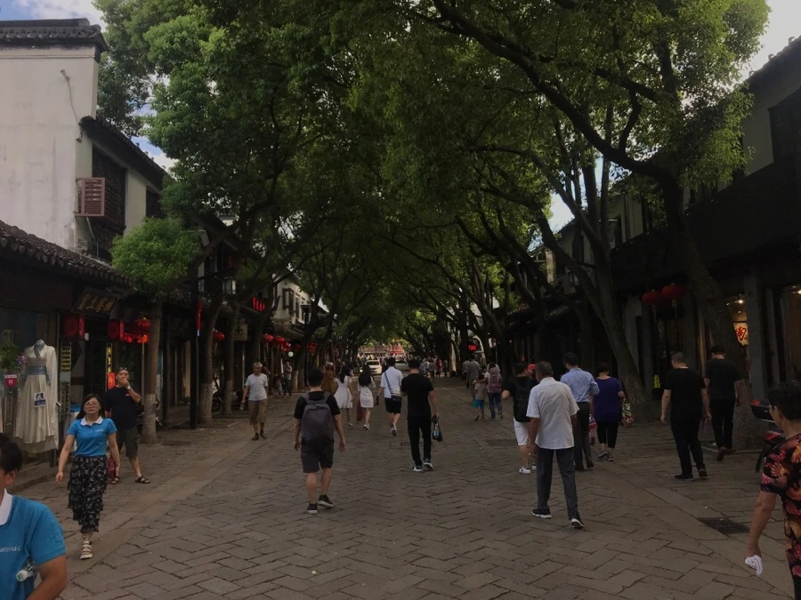 IMG_1524.jpg?type=w1