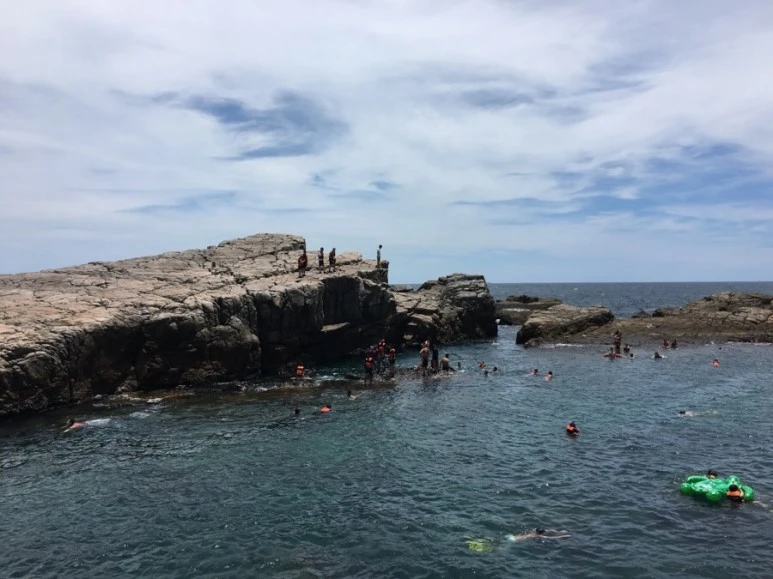 attachImage_720977811.jpeg?type=w773