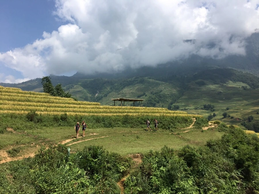 IMG_3554.JPG?type=w1