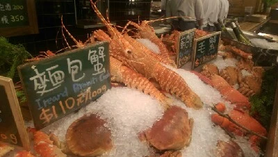 IMAG5445.jpg?type=w966