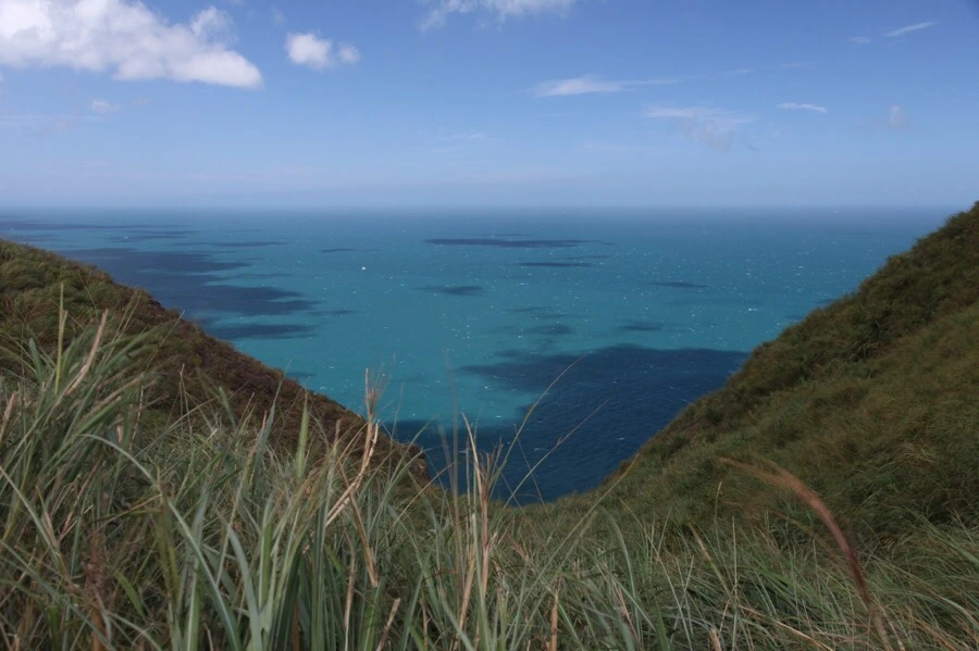 IMG_5295.JPG?type=w1