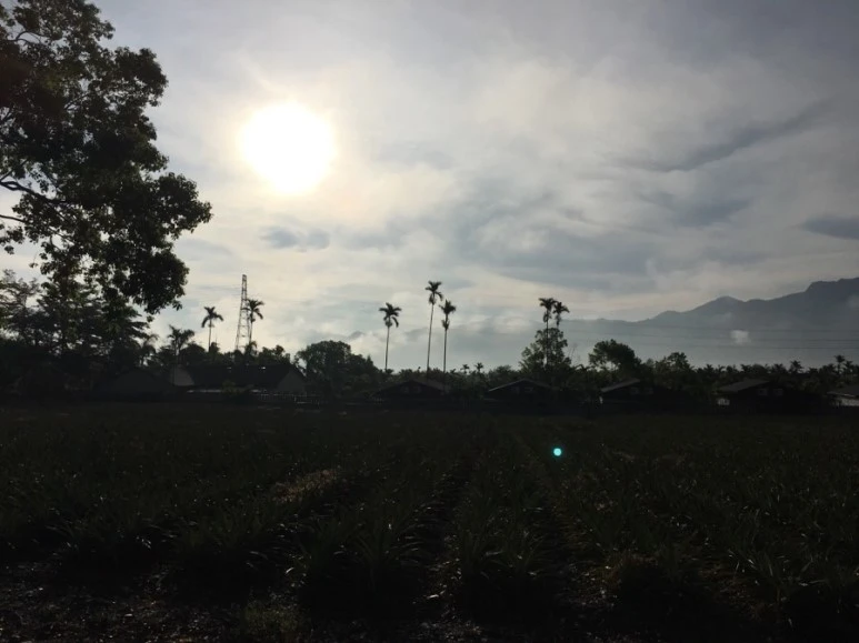 attachImage_1517904958.jpeg?type=w773