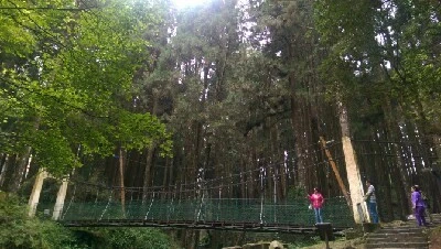 IMAG4955.jpg?type=w773