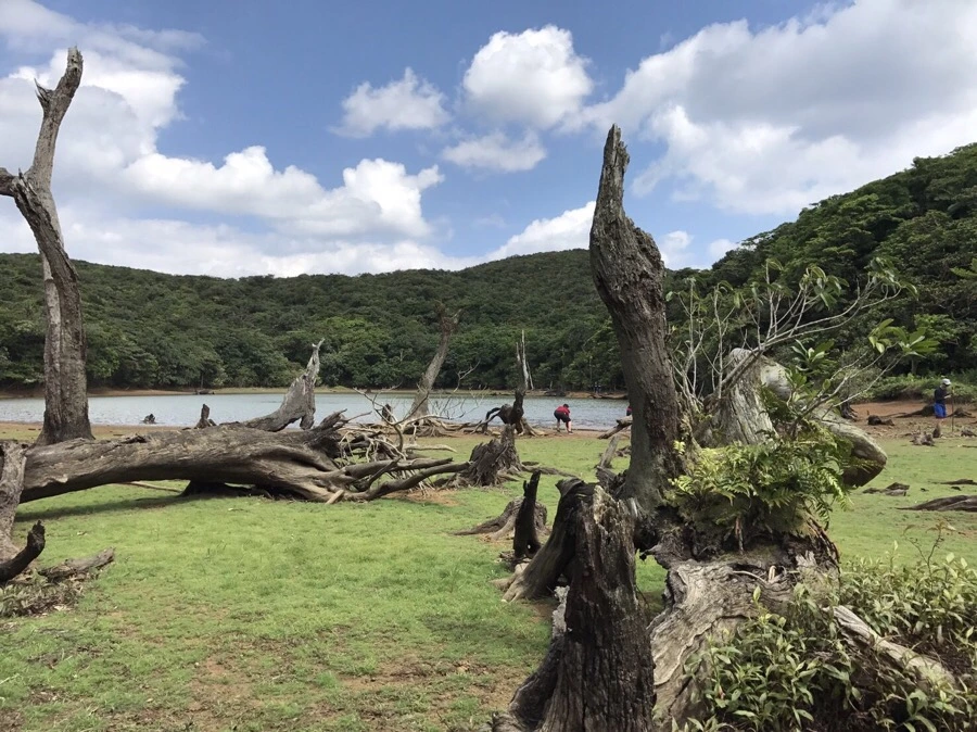 IMG_4036.jpg?type=w966