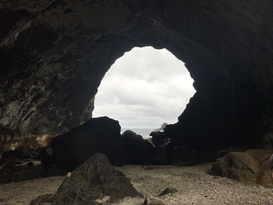 IMG_1618.jpg?type=w966