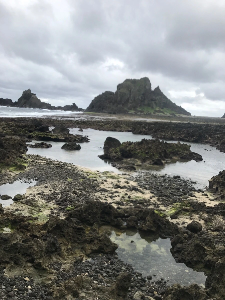 IMG_1624.jpg?type=w966