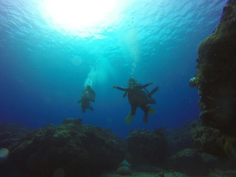 IMG_3594.jpg?type=w966