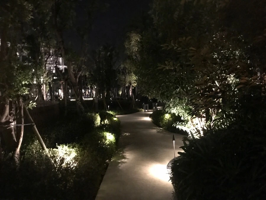 IMG_5402.jpg?type=w966