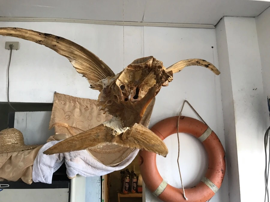 IMG_3441.jpg?type=w966