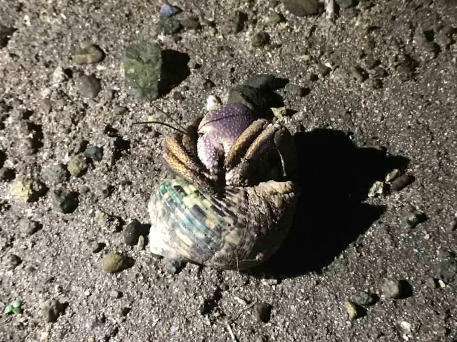 IMG_1453.jpg?type=w966