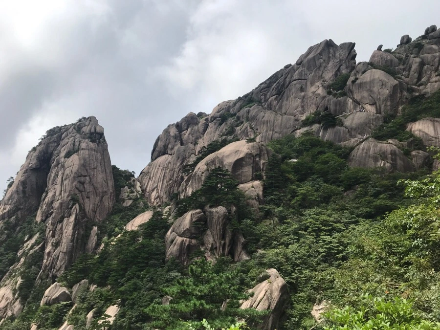 IMG_0845.jpg?type=w966