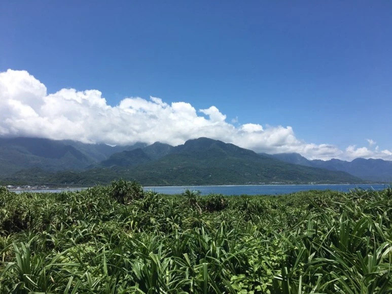 attachImage_2239567604.jpeg?type=w773