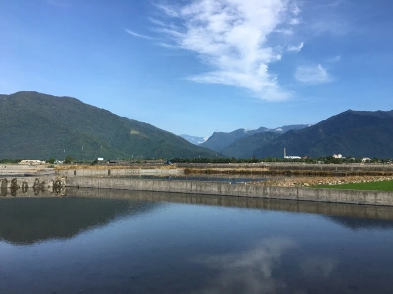 attachImage_671698208.jpeg?type=w773