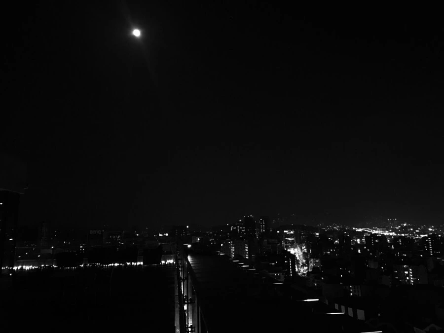 IMG_7329.JPG?type=w966