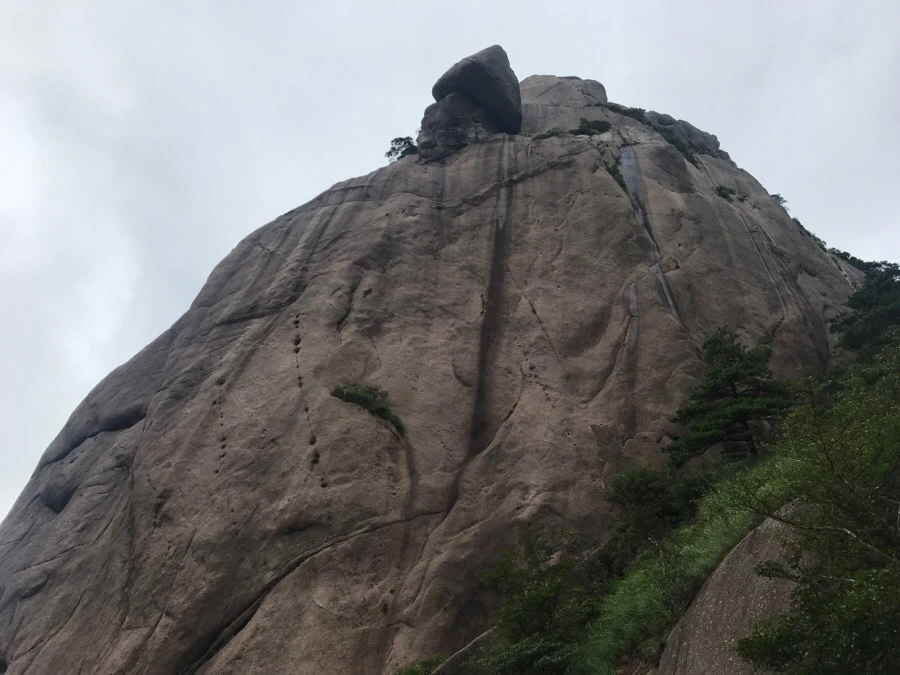 IMG_0829.jpg?type=w966