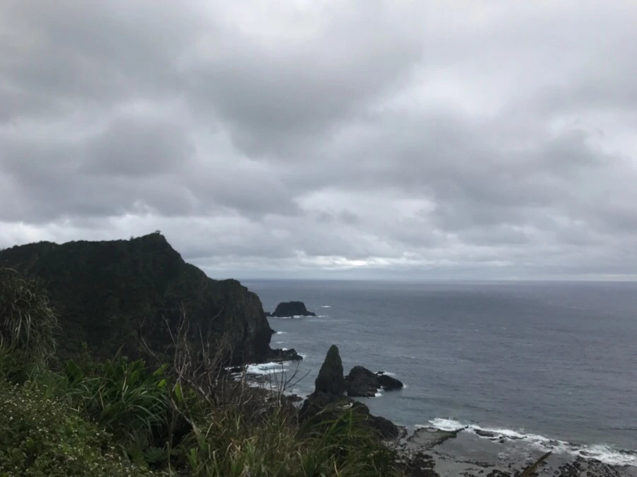 IMG_1571.jpg?type=w966