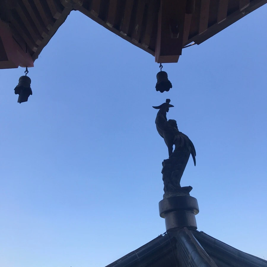 IMG_1285.jpg?type=w1