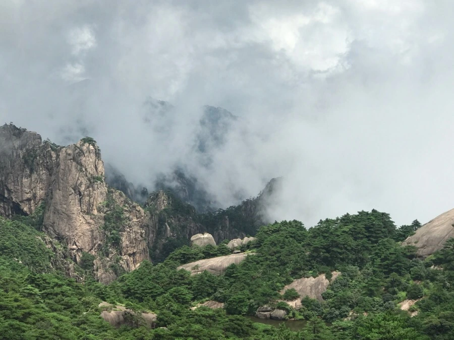 IMG_0796.jpg?type=w966