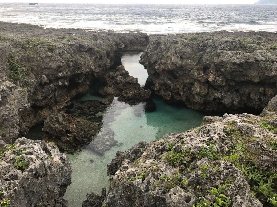 IMG_3862.jpg?type=w966