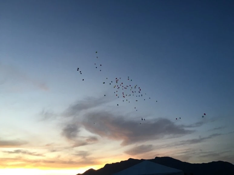 attachImage_1153967627.jpeg?type=w773