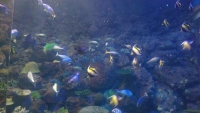 IMAG3290.jpg?type=w2